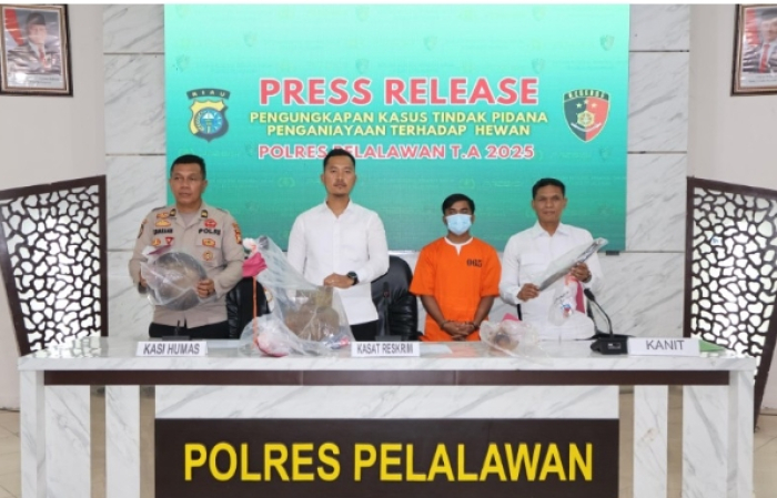 Akibat Aniaya Anjing dan Jual Dagingnya, Pria di Pelalawan Ditangkap